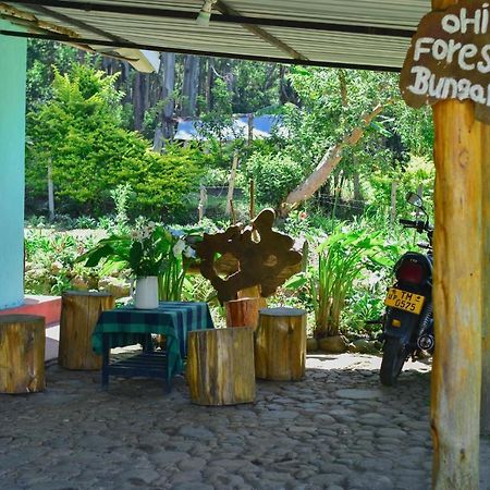 Ohiya Forest Lodge Kültér fotó