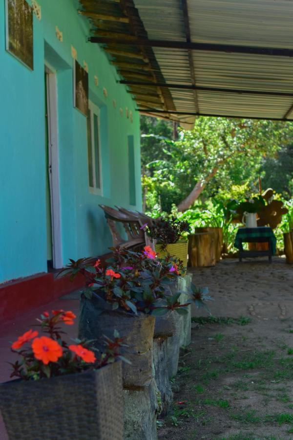 Ohiya Forest Lodge Kültér fotó