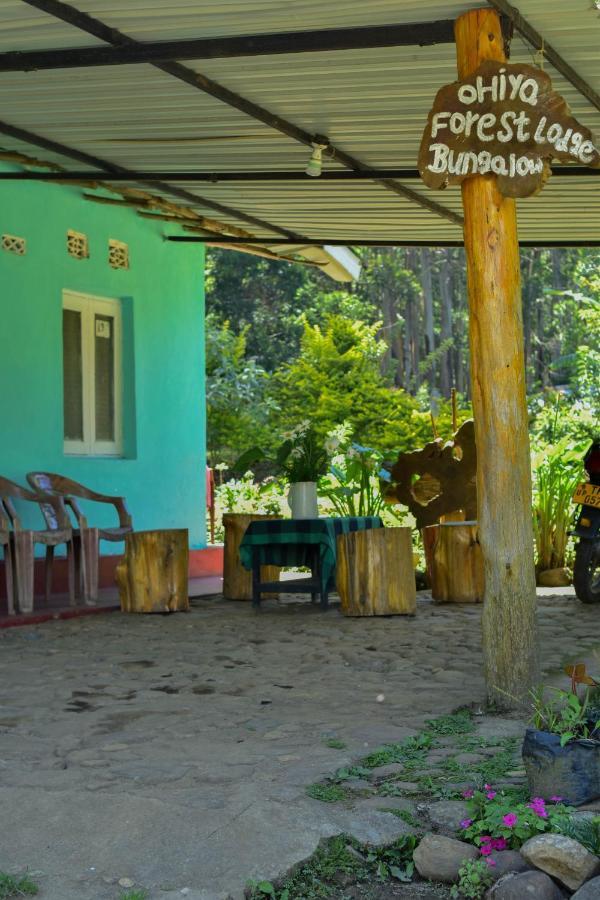 Ohiya Forest Lodge Kültér fotó