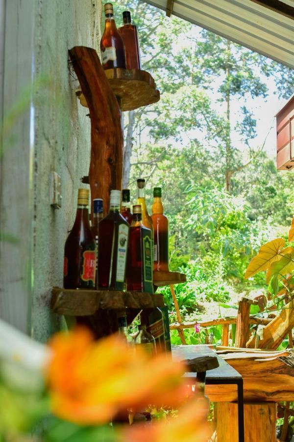Ohiya Forest Lodge Kültér fotó