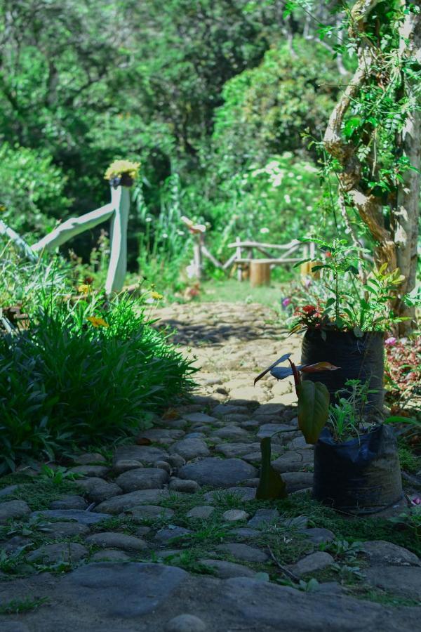 Ohiya Forest Lodge Kültér fotó