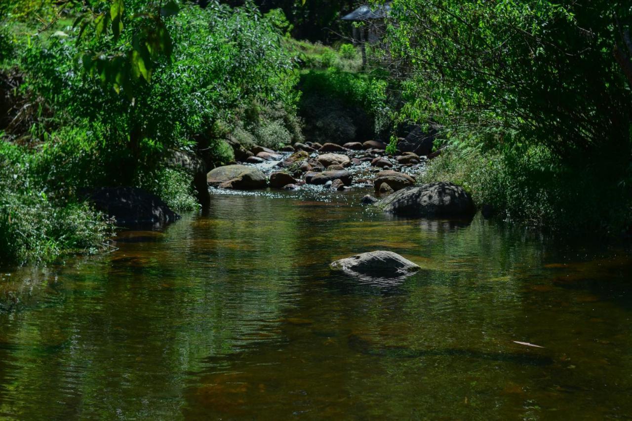 Ohiya Forest Lodge Kültér fotó